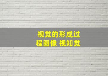 视觉的形成过程图像 视知觉